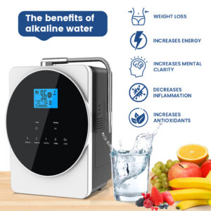 HydroZen 808C Alkaline Machine